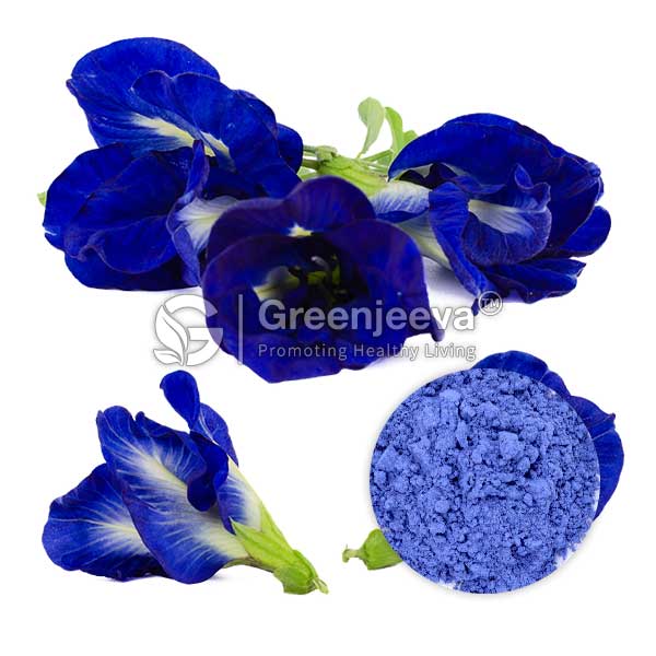 A cluster of vibrant Organic Butterfly Pea Flower Powder, Blue with a powder of the same hue, representing natural dye and herbal benefits.