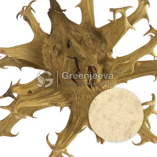 Organic Devils Claw Powder