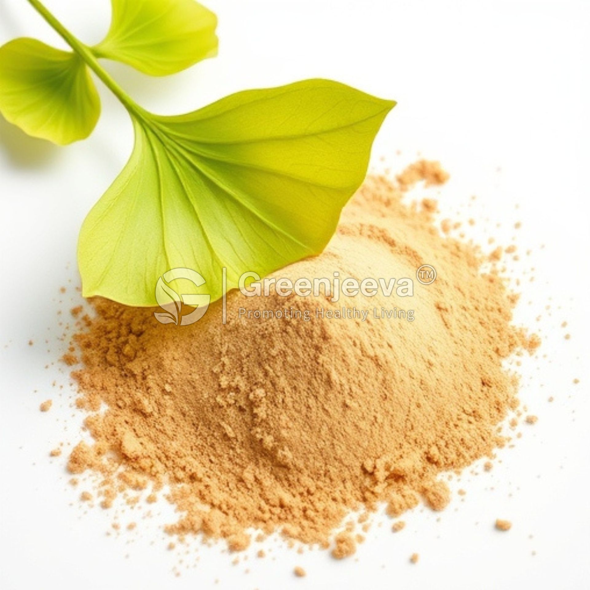 A vibrant green leaf rests beside a mound of fine, Organic Ginkgo Leaf c/s on a white background, symbolizing natural health.