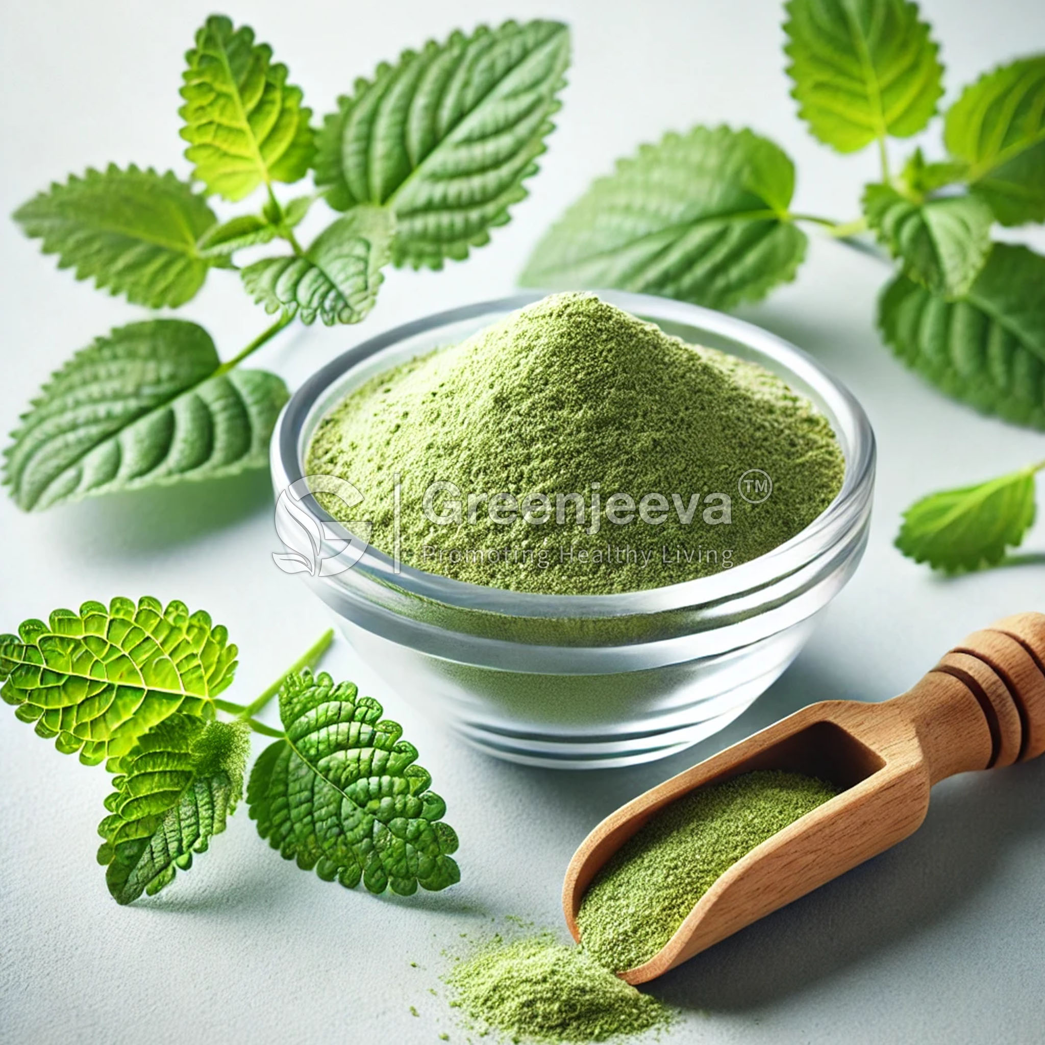 Lemon Balm Extract Powder 7% Rosmarinic Acid