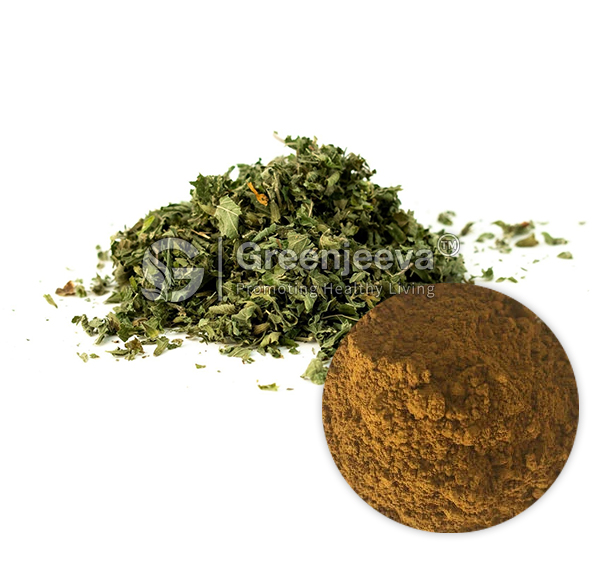 Organic Lemon Balm Herb, TBC