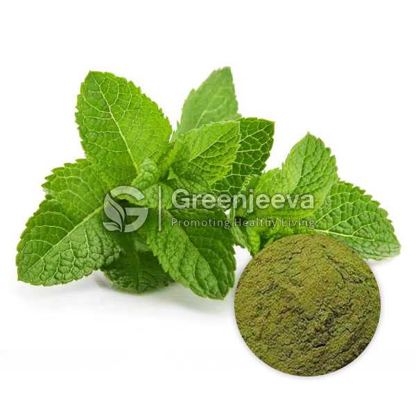 Peppermint Leaf Powder