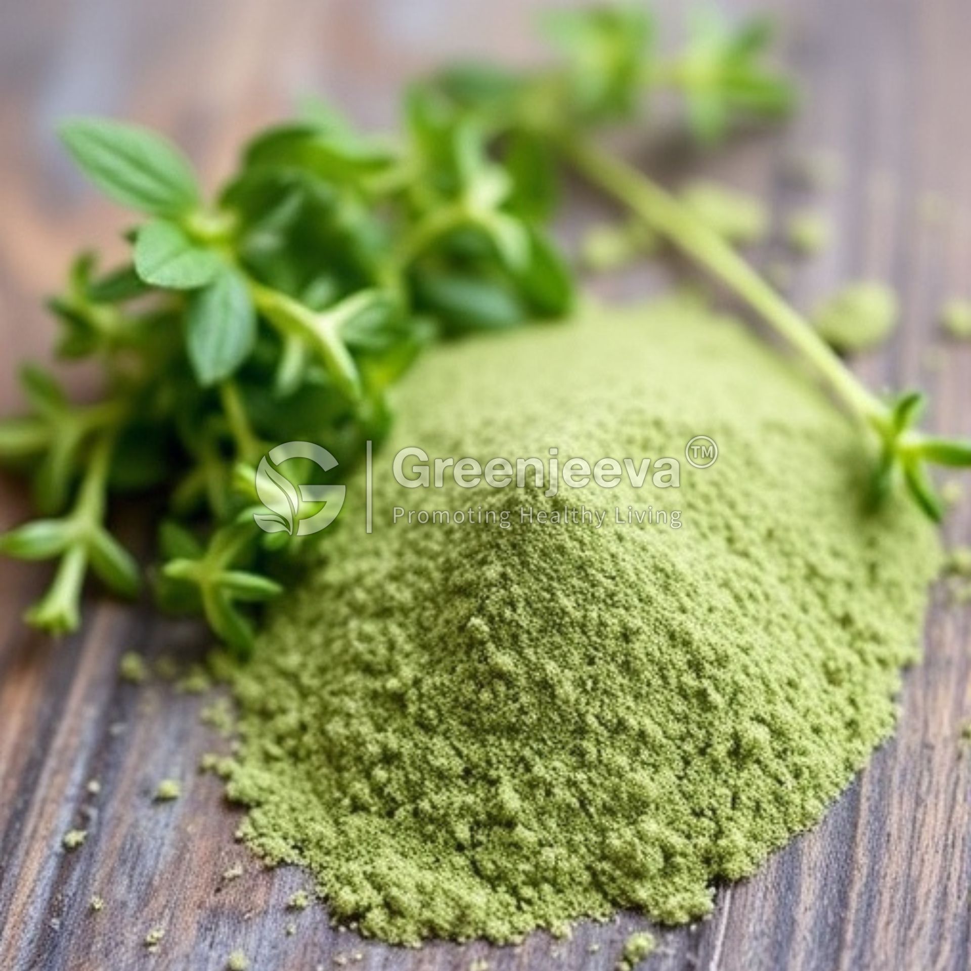 Thyme Leaf Extract Powder 4:1
