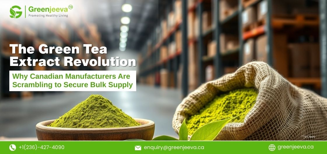 Why Your Next Innovation Could Start with Green Tea Extract Powder And How to Source It Right