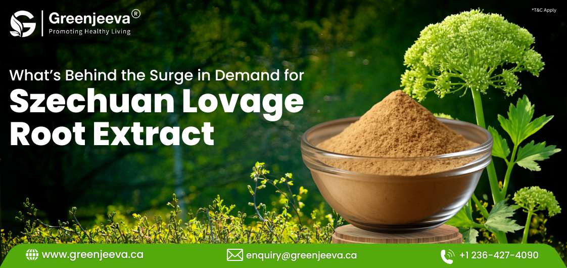 From TCM to Trend: Why Szechuan Lovage Root Extract Is a Sleeper Hit Among Manufacturers