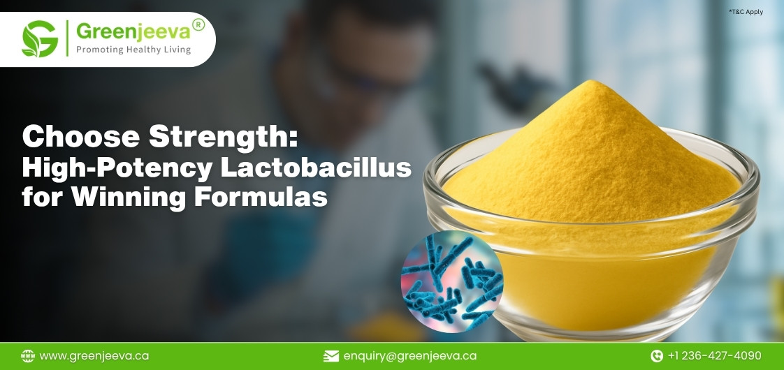 How to Source High-Quality Lactobacillus acidophilus Powder for Functional Food & Beverage Success