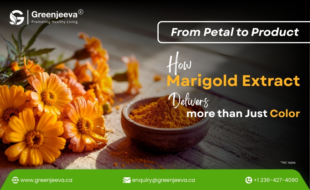 Is Marigold Extract the Natural Advantage Your Product Line Needs?