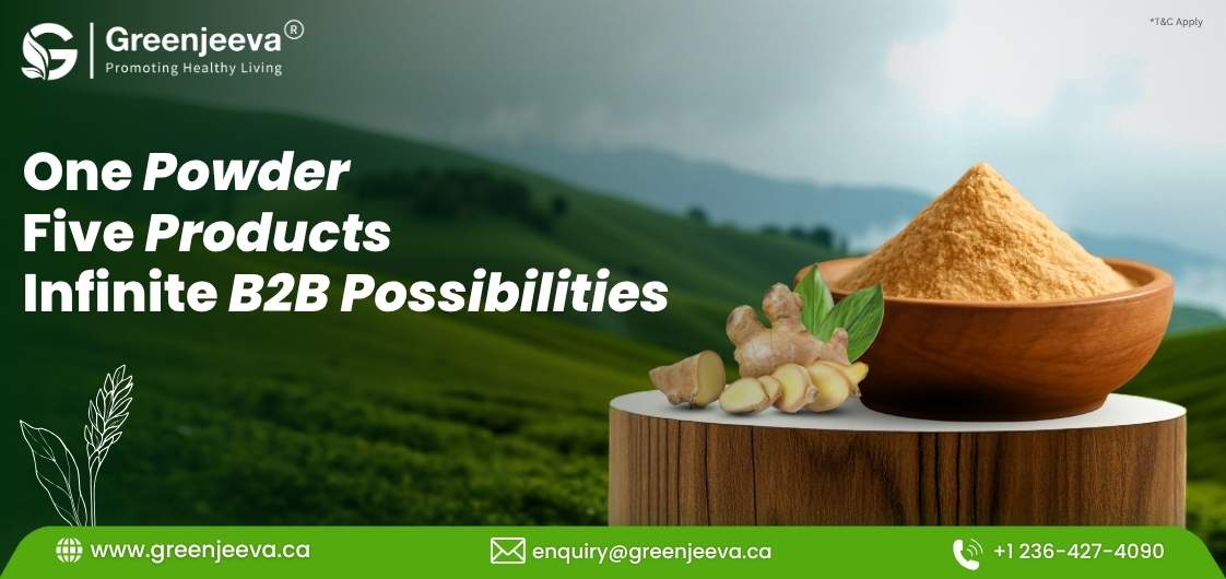 5 Breakthrough B2B Formulations Using Organic Ginger Root Powder