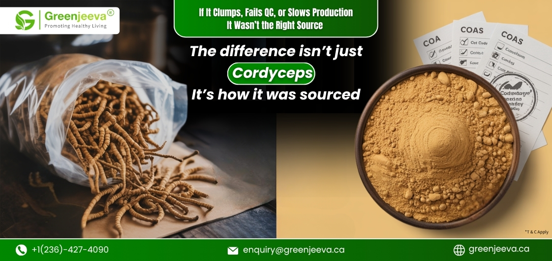 How Can Sourcing the Right Cordyceps Powder Improve Product Stability?