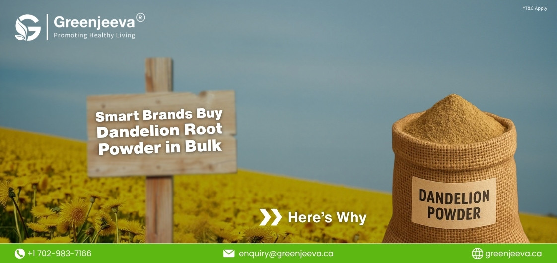 5 Reasons to Buy Wholesale Organic Dandelion Root Powder in Bulk
