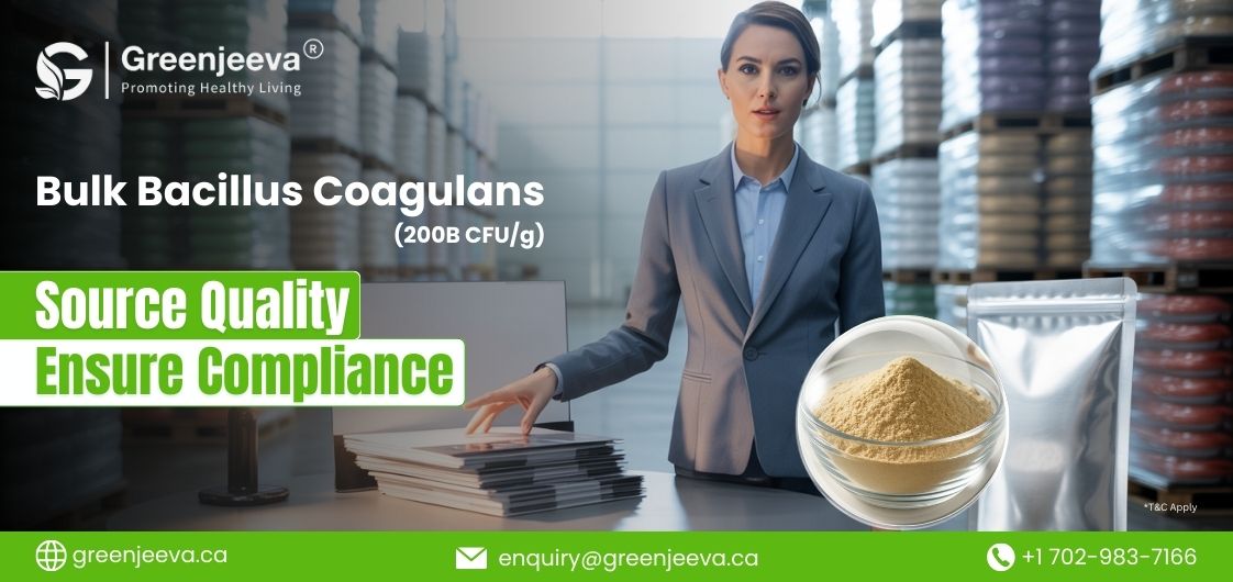Bacillus coagulans Bulk Buying Tips for Canadian Nutraceutical Brands