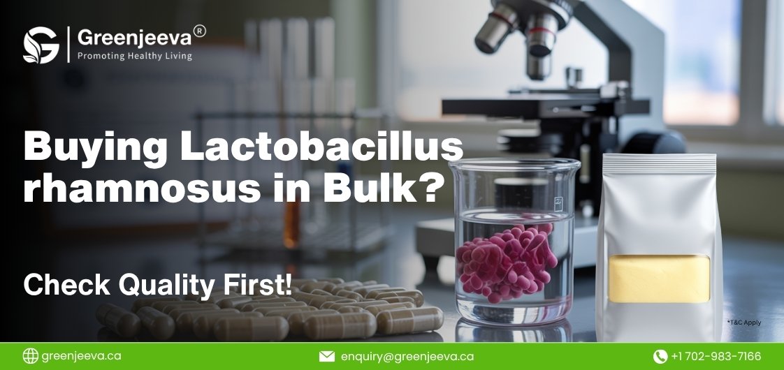 7 Things Every Buyer Must Know Before Sourcing Lactobacillus rhamnosus 200 Billion CFU in Bulk