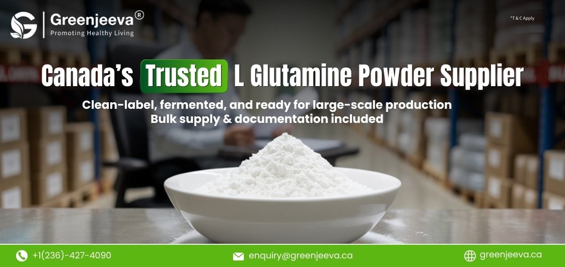 What Is Driving the Growth of L Glutamine Powder in Nutraceuticals and Pet Nutrition