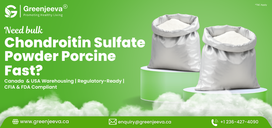 Bulk Chondroitin Sulfate Powder (Porcine): What Buyers in Canada Must Know