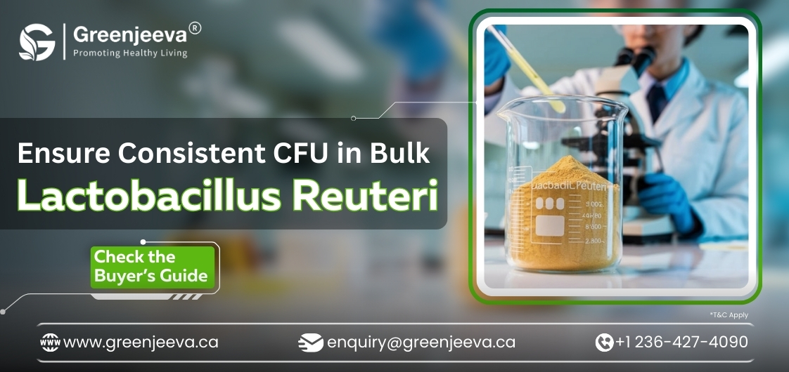 Trusted Lactobacillus reuteri Powder Bulk Suppliers for Canada’s Wellness Market