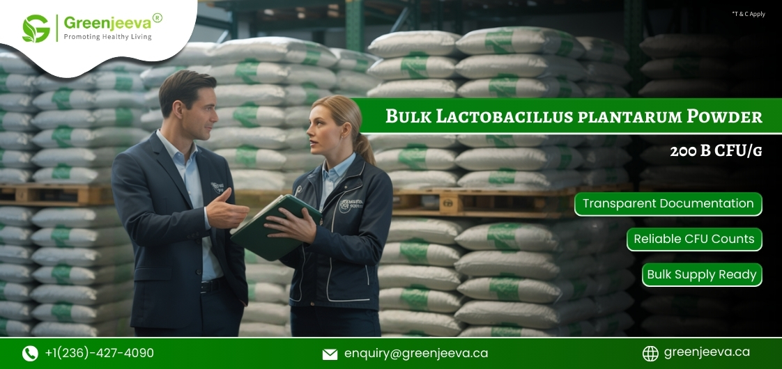 What Makes Lactobacillus plantarum Powder 200 B CFU/g a Preferred Choice for High Potency Supplement Formulations