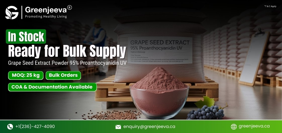 How Can Grape Seed Extract Powder 95% Proanthocyanidin UV Improve Formulation Efficiency