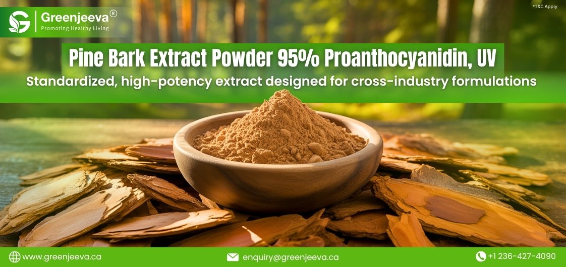 How Are High-Potency 95% Proanthocyanidin UV Pine Bark Extract Powders Used Across Industries
