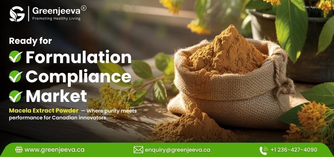 Bulk Macela Leaf Extract Powder Supplier Canada: The Botanical Redefining Clean-Label Sourcing