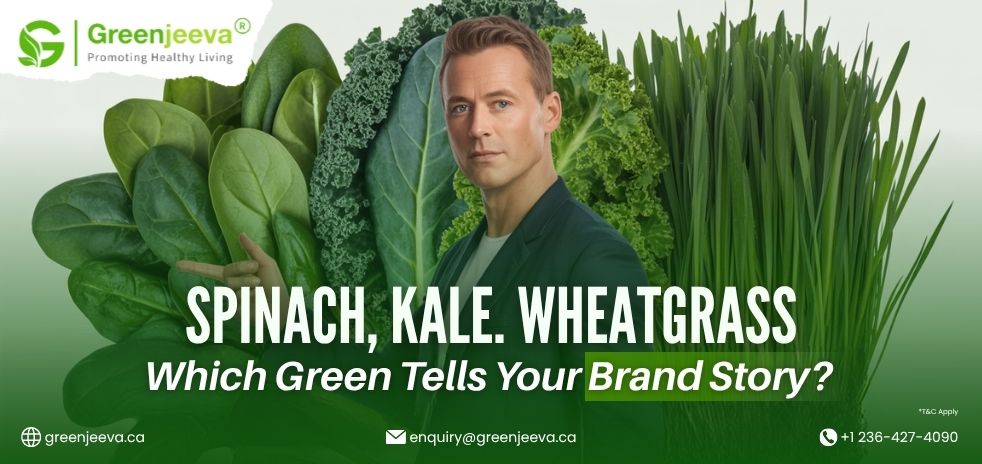 Bulk Organic Spinach Powder Canada: The Green Ingredient Battle- Spinach vs. Kale vs. Wheatgrass