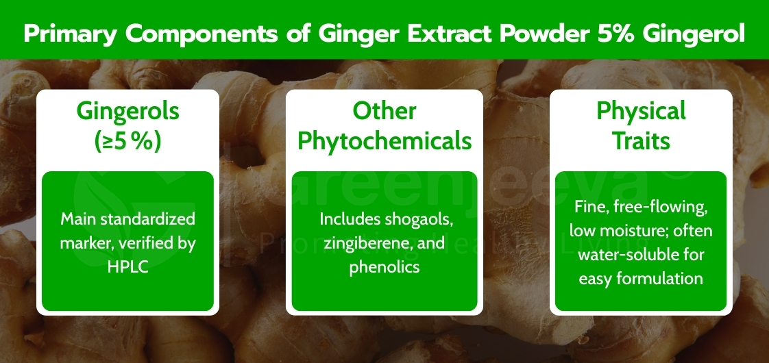 Primary components of Ginger Extract Powder 5% gingerol including gingerols, phytochemicals, and physical flow properties