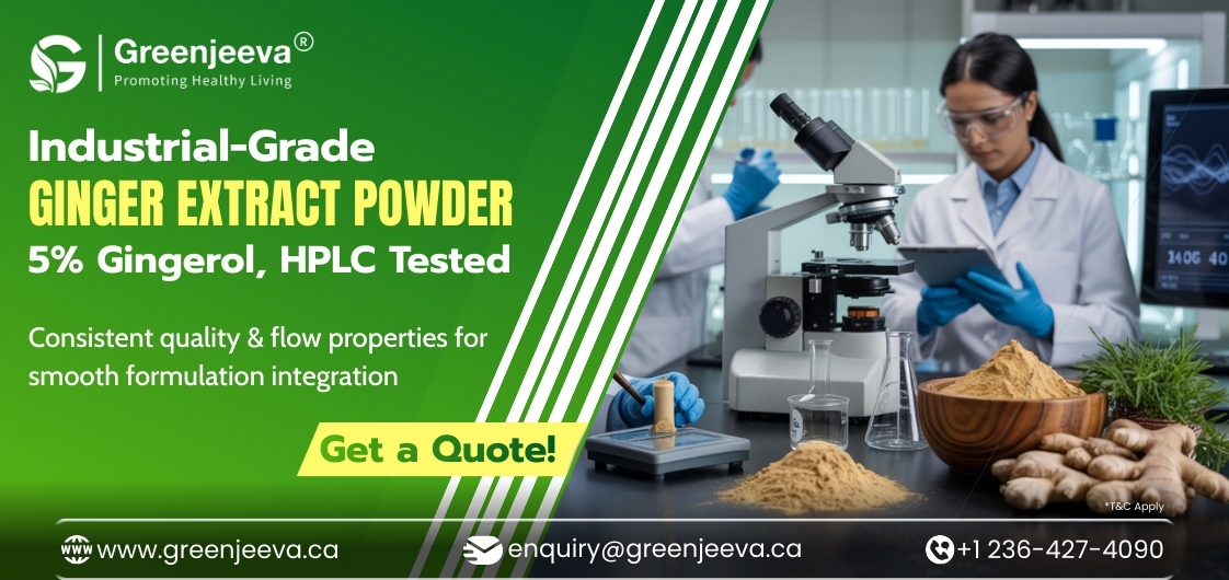 What Are the Functional Benefits of Using 5% Gingerol Ginger Extract in Formulations