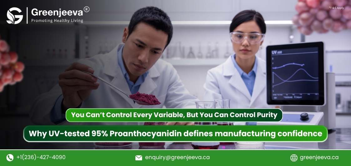Why 95% Proanthocyanidin UV Could Be the Most Important Factor in Your Formulations