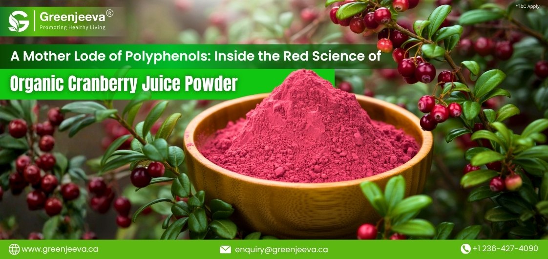 Behind That Red Hue: The Untold Industrial Story of Organic Cranberry Juice Powder