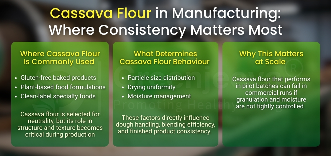Infographic explaining the role of cassava flour in manufacturing, its common uses, behavior factors, and the importance of consistency in large-scale production.